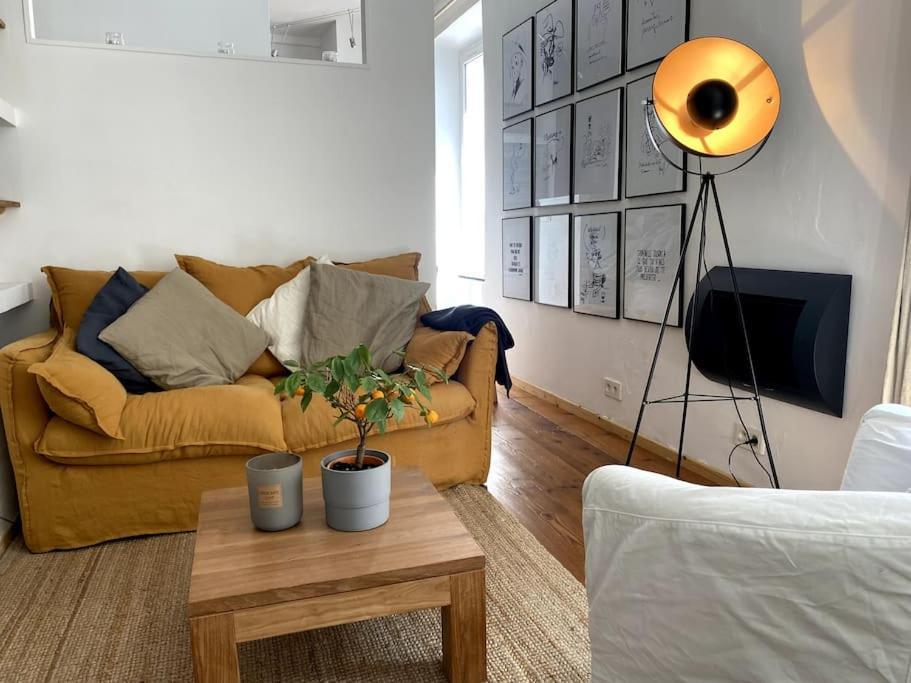 Appartement Studio Avec Terrasse !